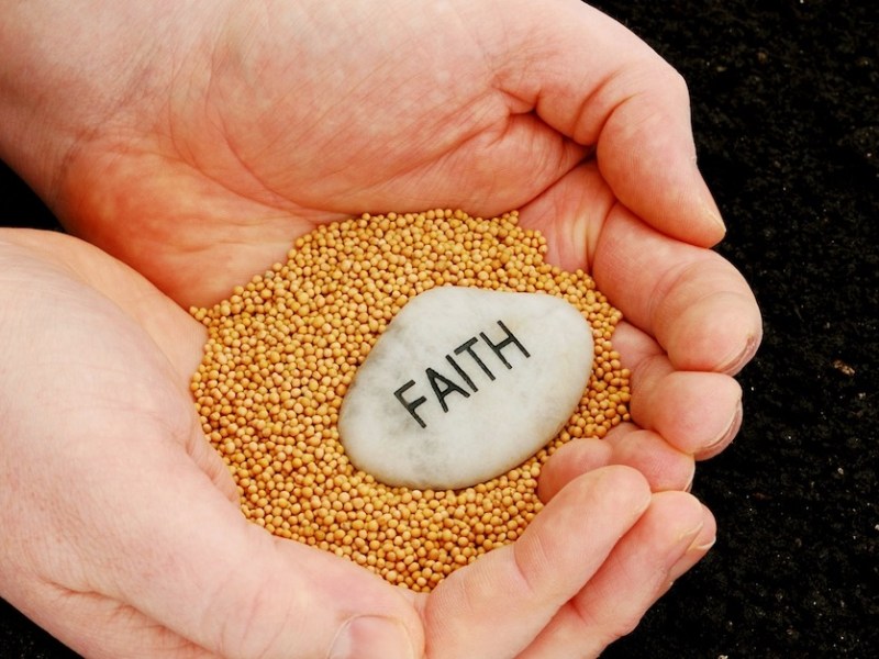 Sixteenth Sunday in Ordinary Time