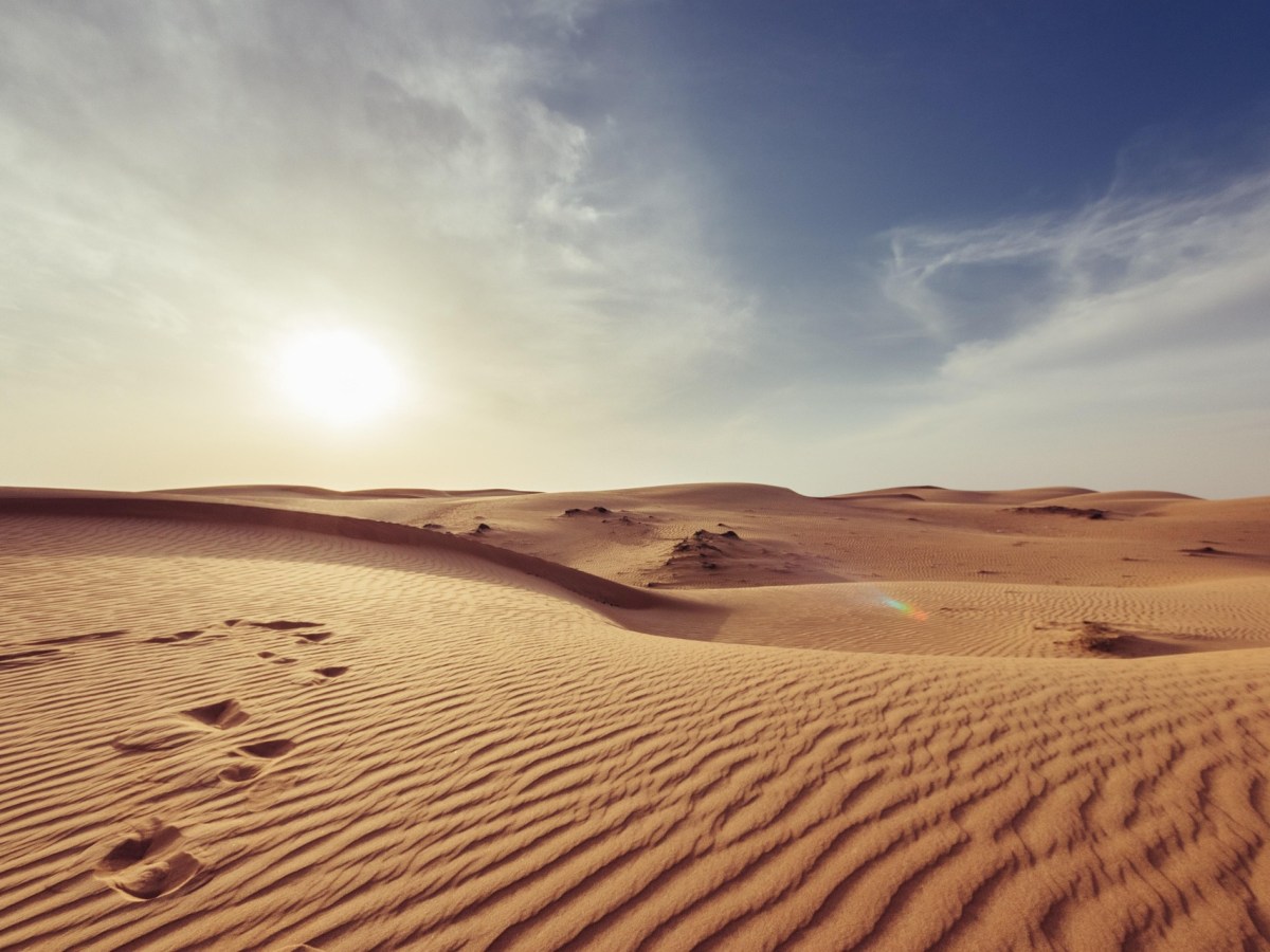 Eighteenth Sunday in Ordinary Time